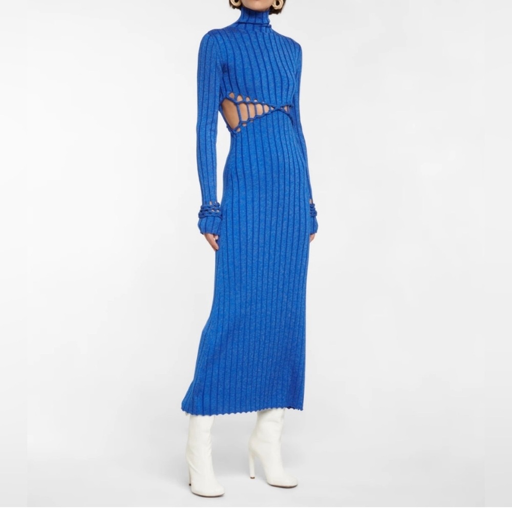 Dion Lee Midi Dress